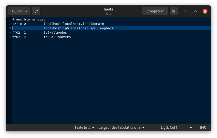 Capture d'écran modification /etc/hosts avec TextEdit sous Linux en graphique.