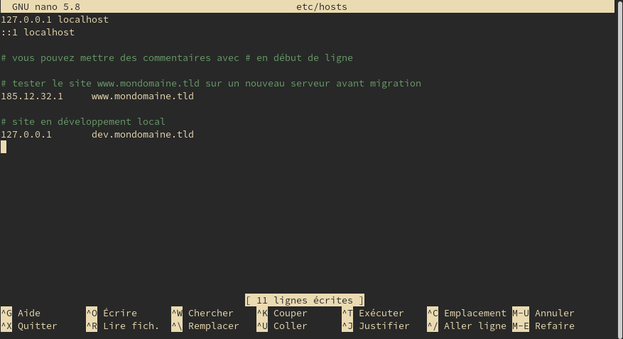 capture d'écran modification /etc/hosts sous Linux avec un terminal et nano