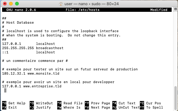 Capture d'écran modification /etc/hosts avec Nano sous MacOS dans Terminal.