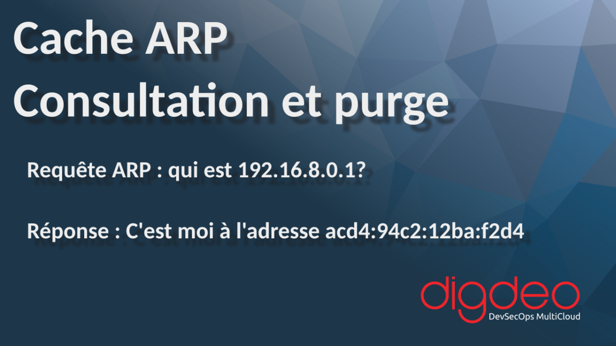 Cache ARP consultation et purge